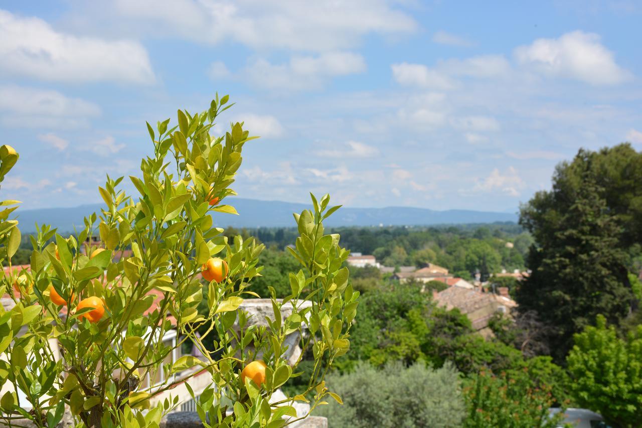 Le Petit Chateau Châteauneuf-de-Gadagne Εξωτερικό φωτογραφία